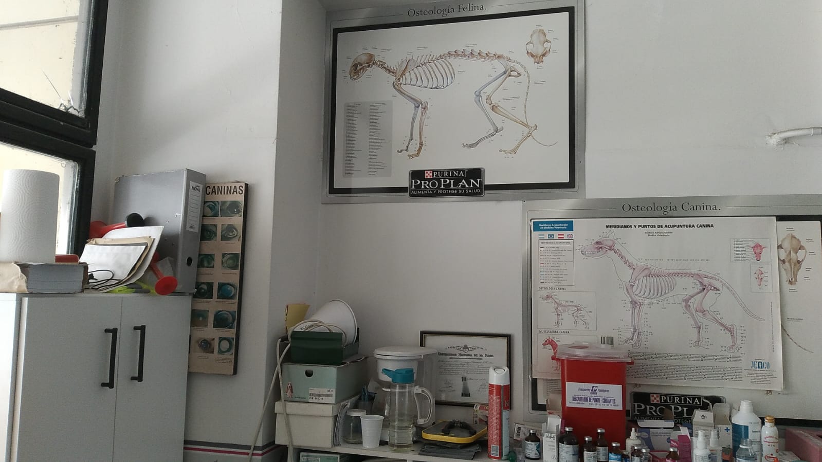 Consultorio Veterinario