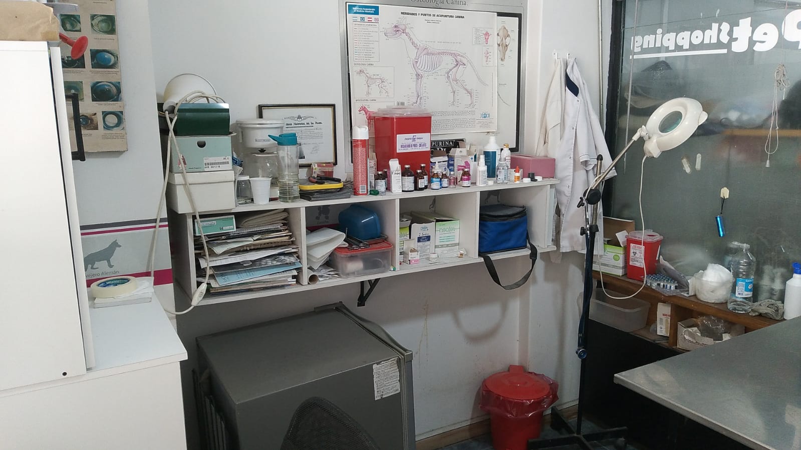 Consultorio Veterinario