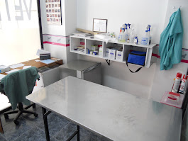Consultorio Veterinario