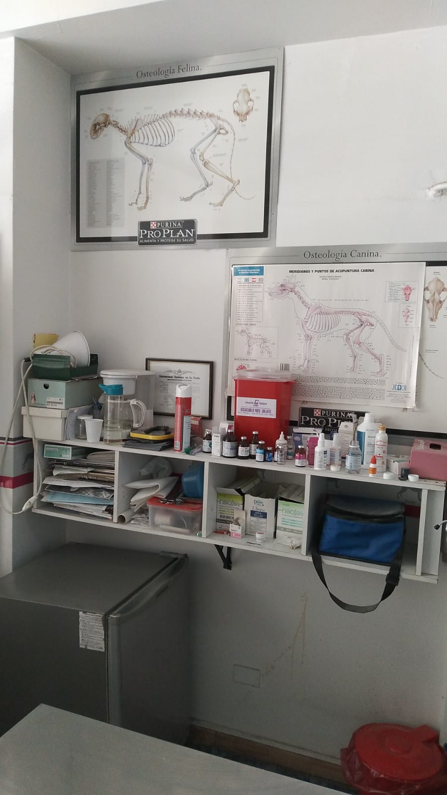 Consultorio Veterinario