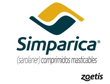 Logo de Marca 24