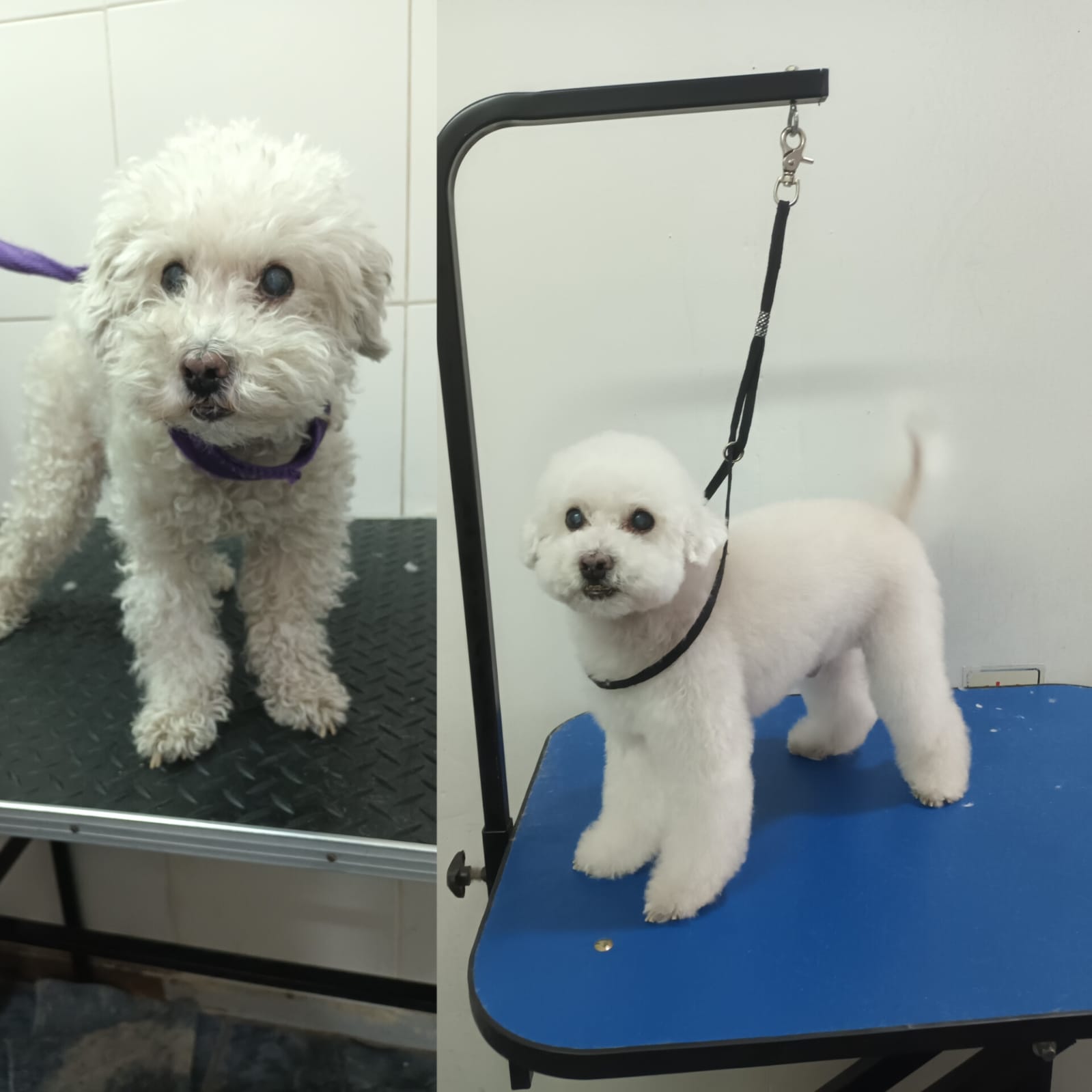 Trabajo de peluquería 1