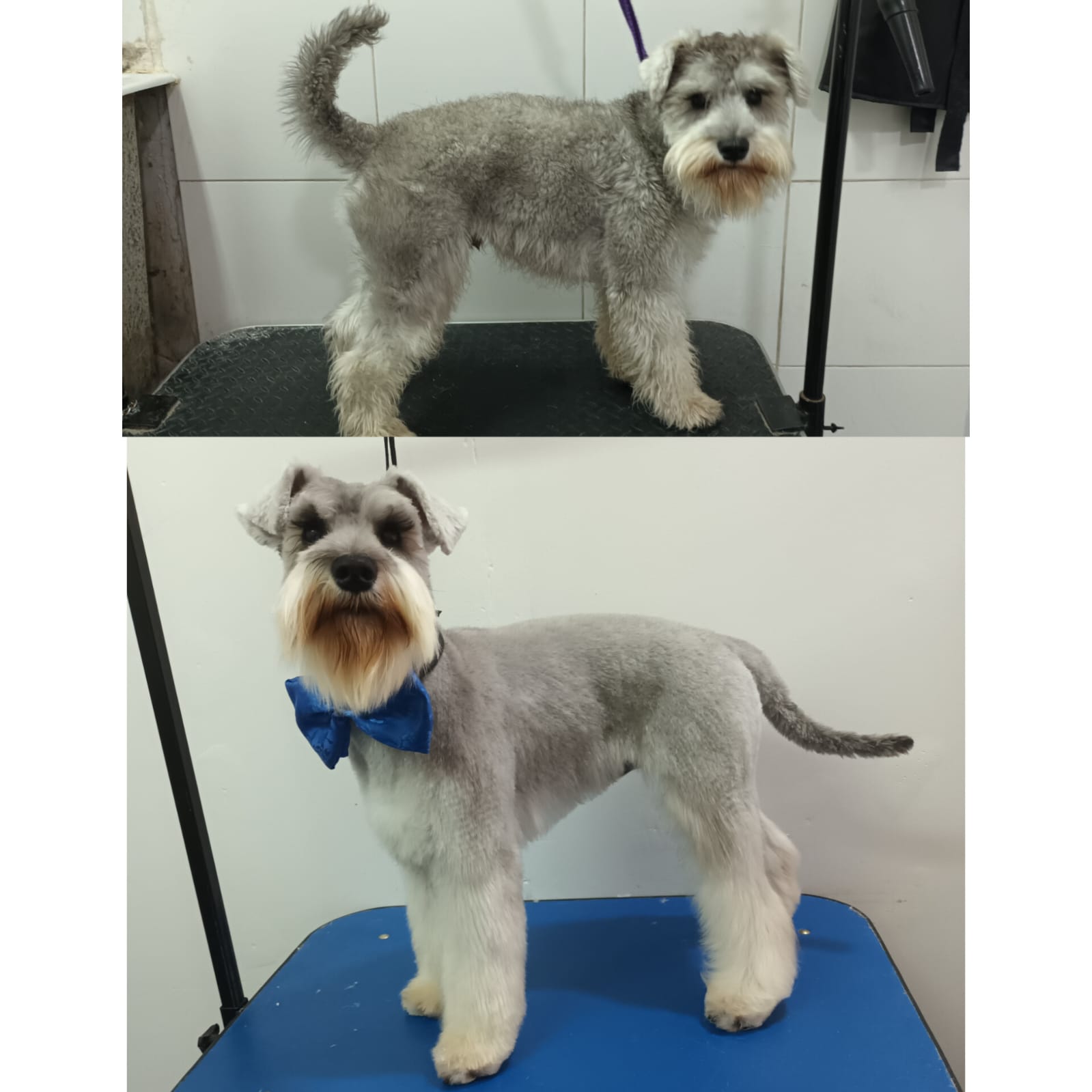 Trabajo de peluquería 10