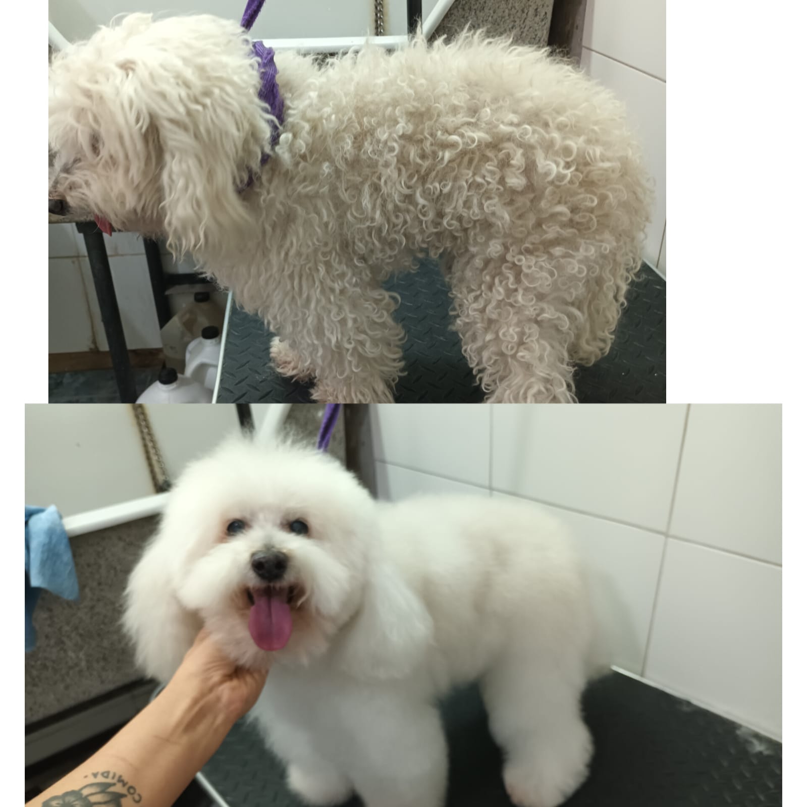 Trabajo de peluquería 13