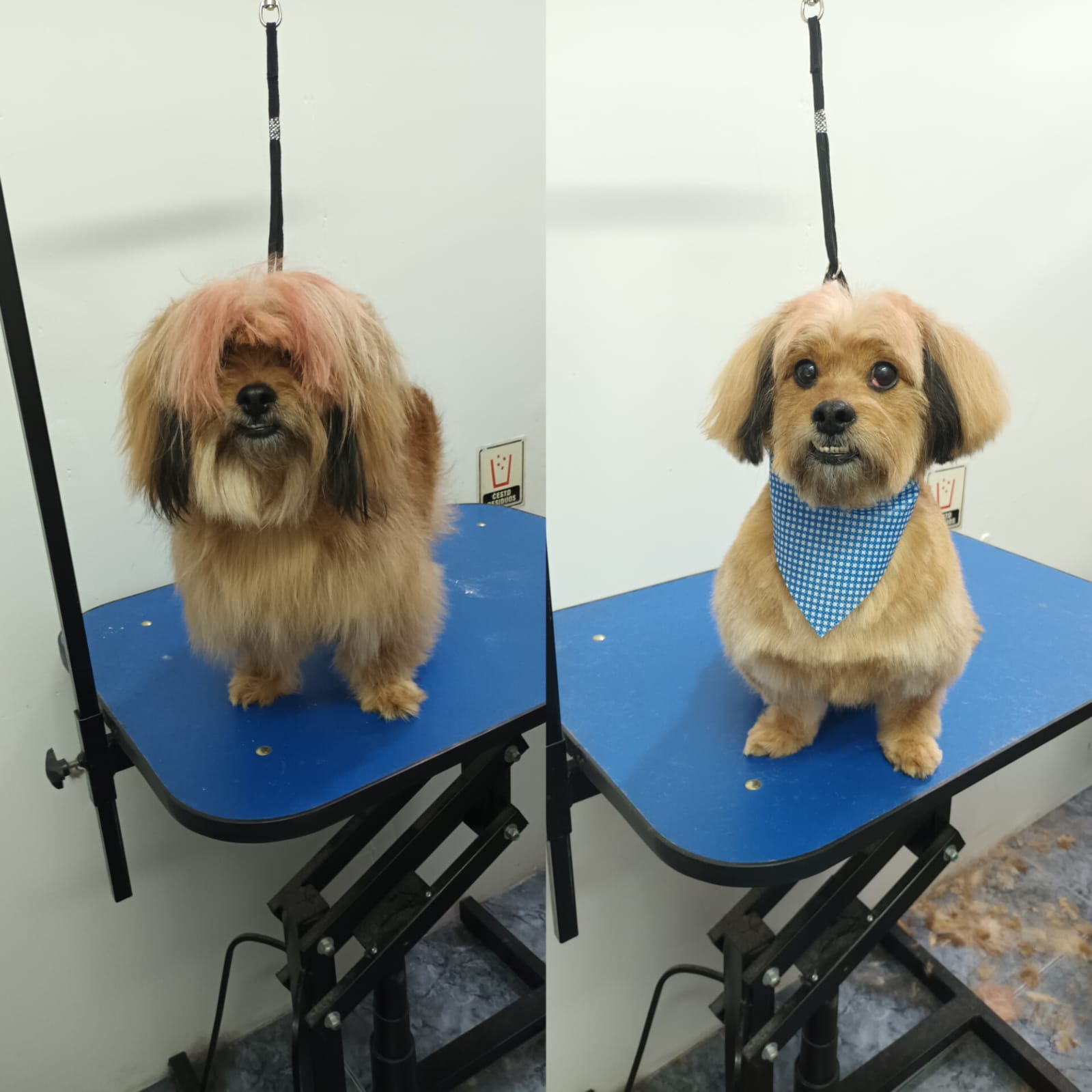 Trabajo de peluquería 14