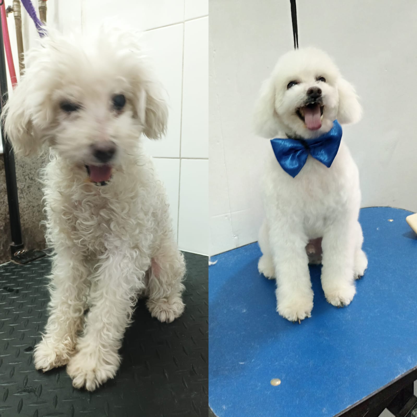 Trabajo de peluquería 15