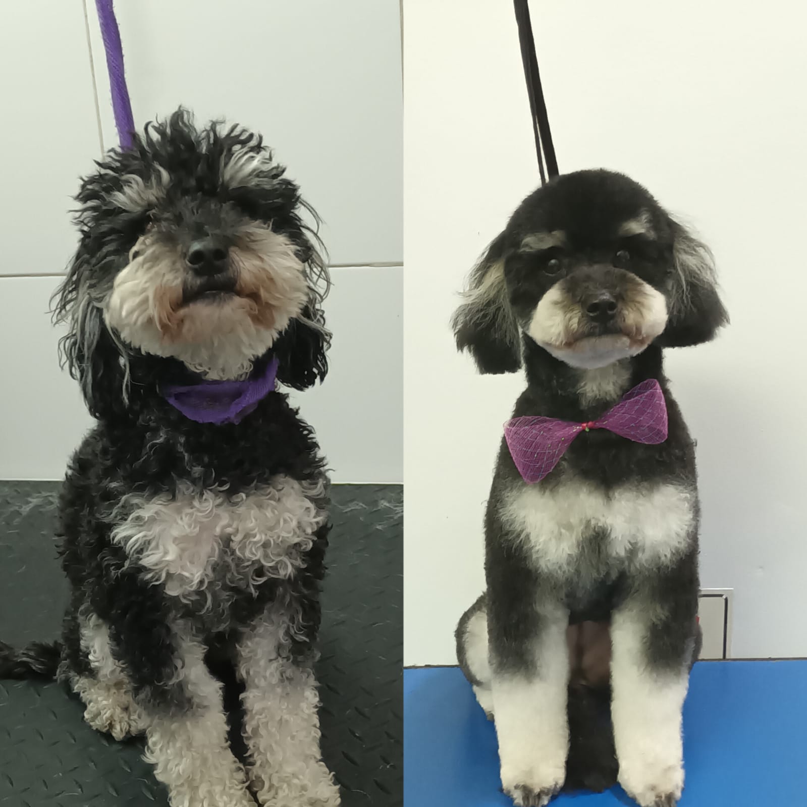 Trabajo de peluquería 23