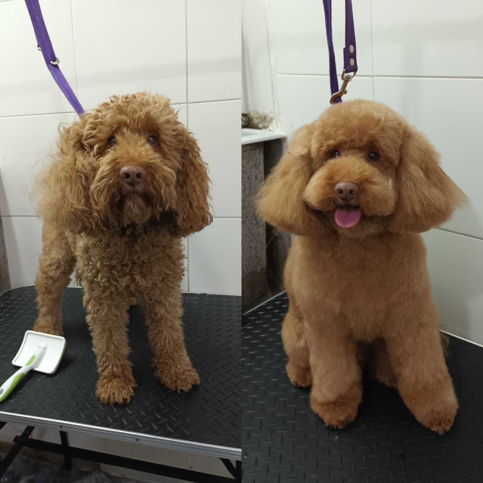 Trabajo de peluquería 25