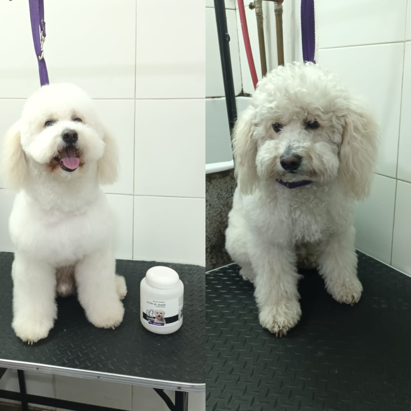Trabajo de peluquería 30