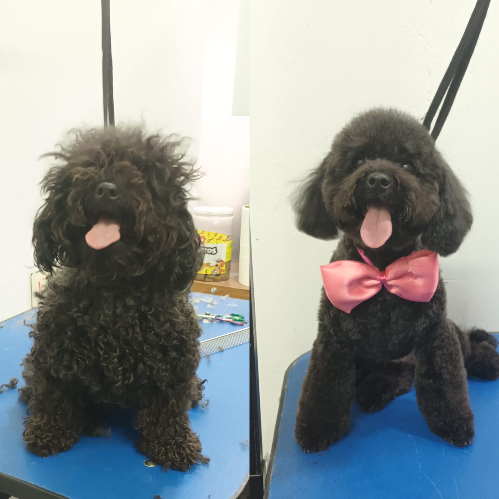 Trabajo de peluquería 32