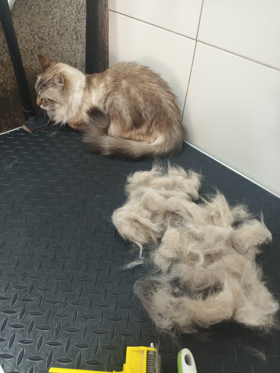Trabajo de peluquería 34