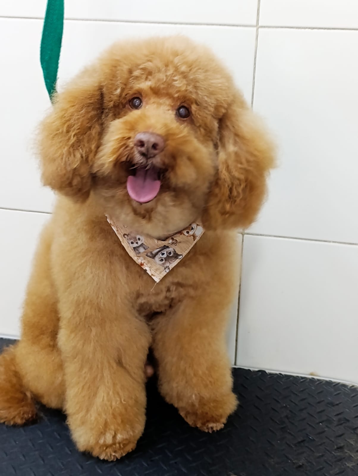 Trabajo de peluquería 39