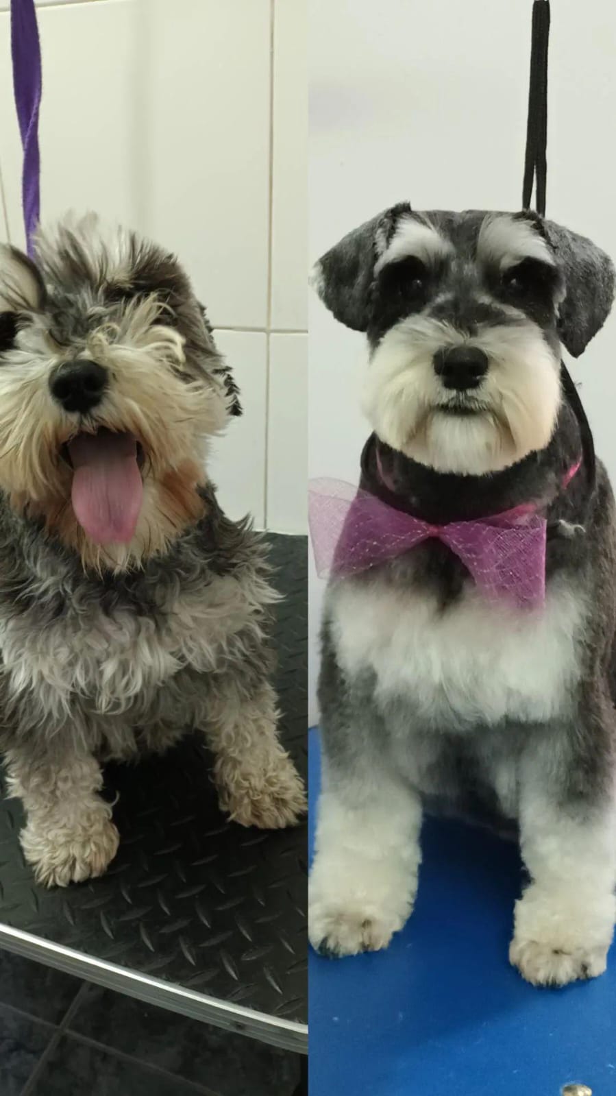Trabajo de peluquería 4