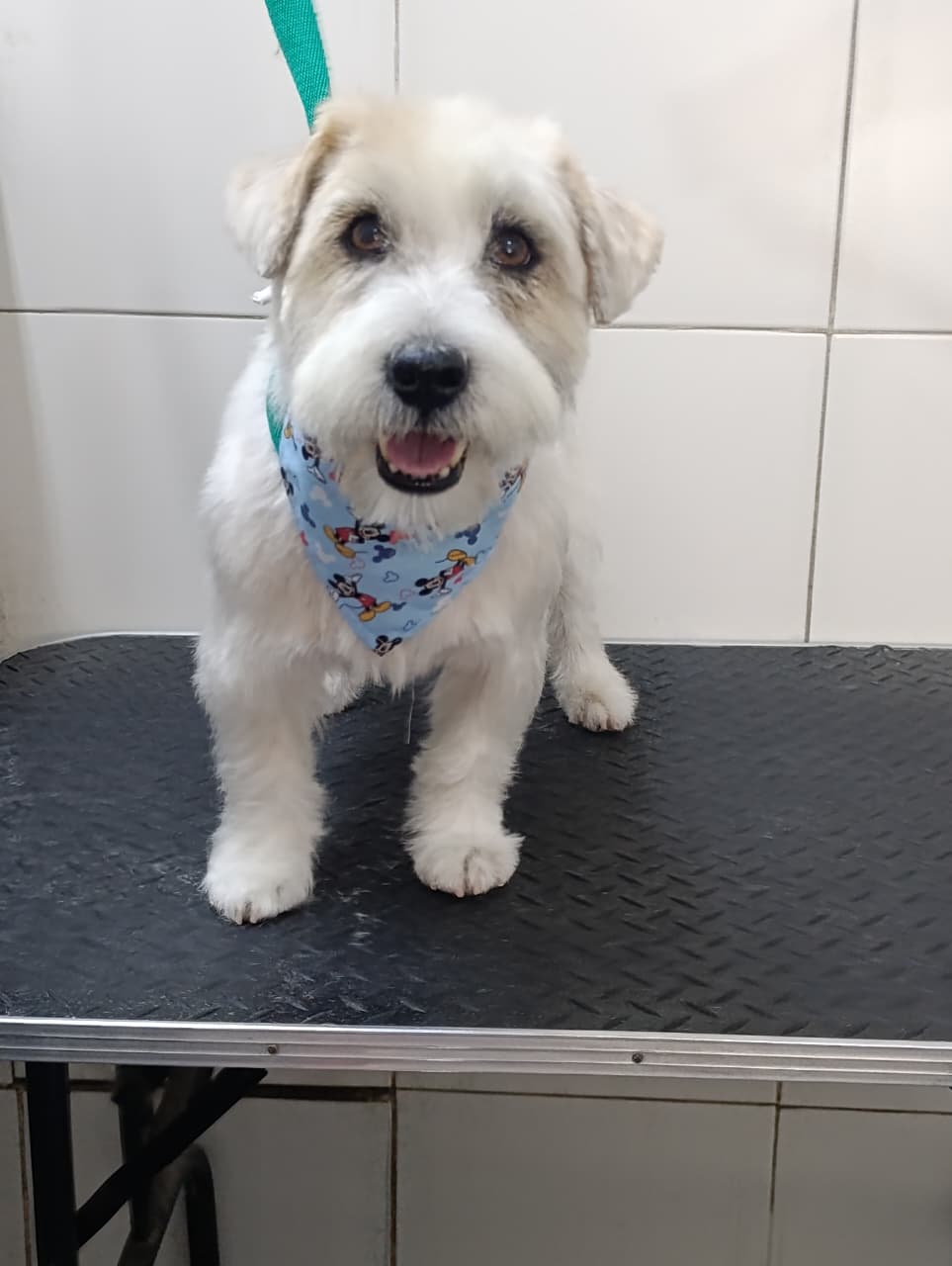 Trabajo de peluquería 40