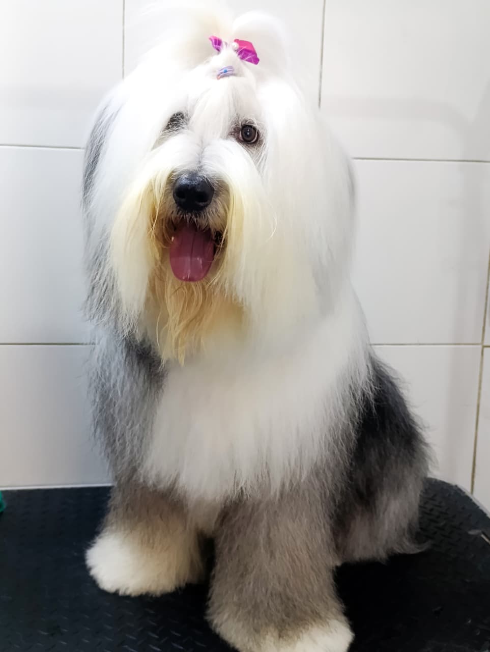 Trabajo de peluquería 42