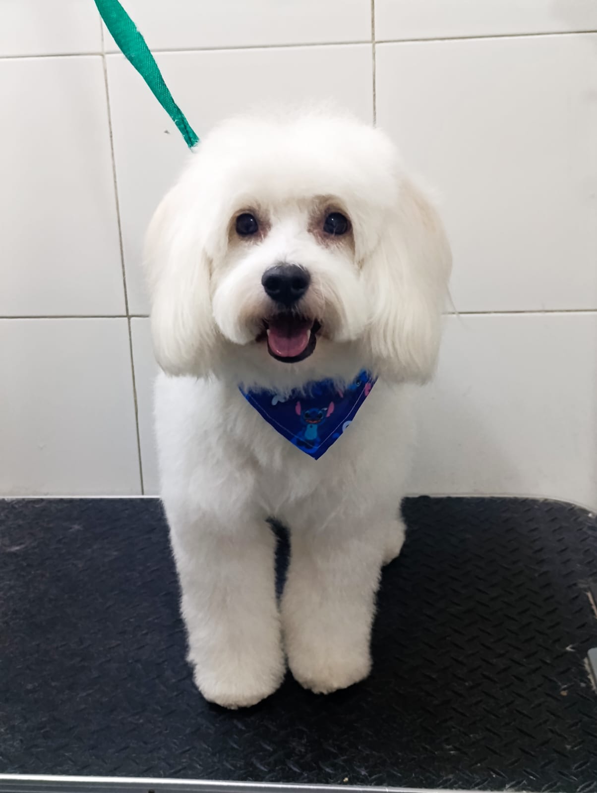 Trabajo de peluquería 45