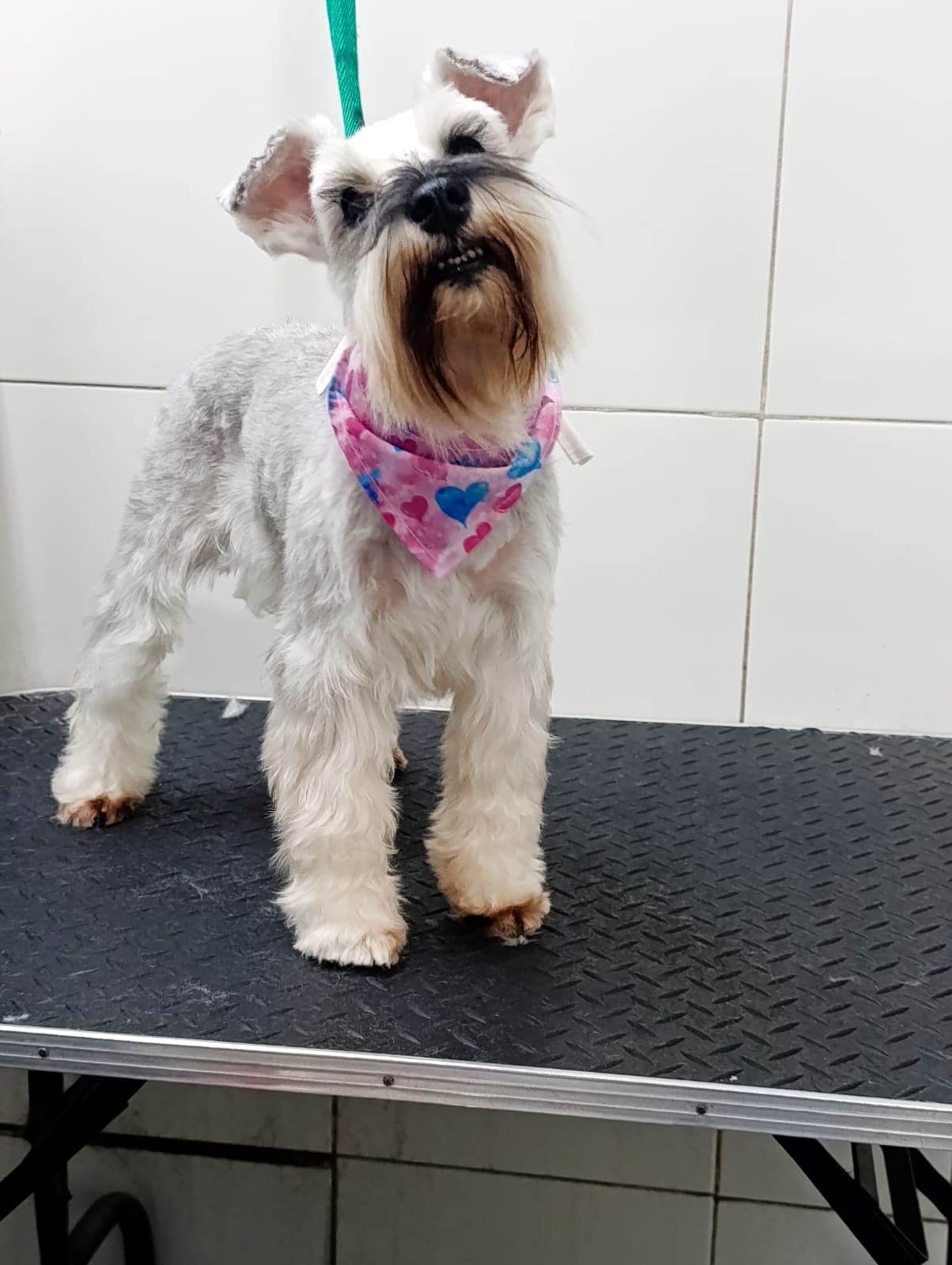 Trabajo de peluquería 46