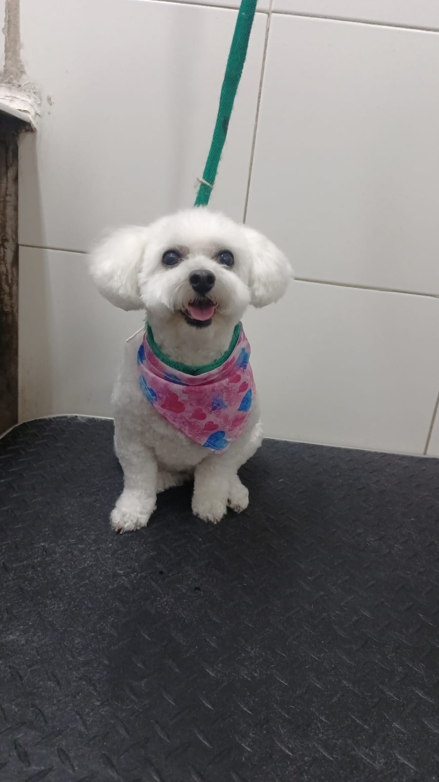 Trabajo de peluquería 47