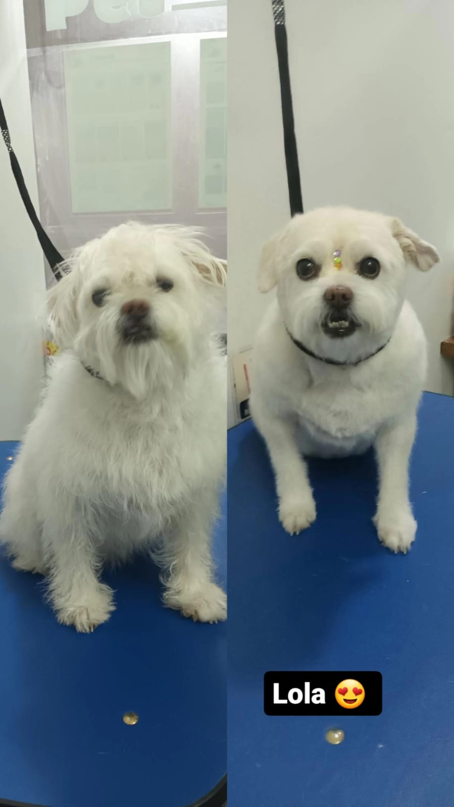 Trabajo de peluquería 6